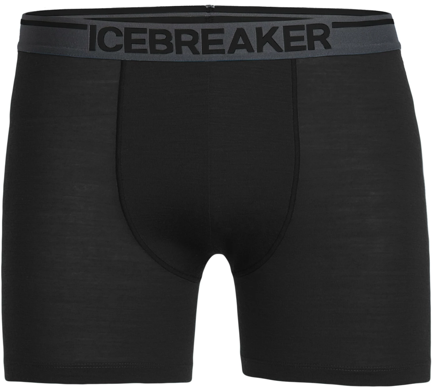 Icebreaker Anatomica Short de bain Homme, gris 3 Icebreaker Anatomica Short de bain Homme, gris