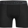 Icebreaker Anatomica Short de bain Homme, gris