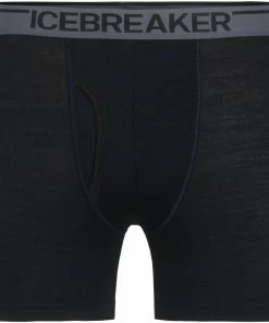 Icebreaker Anatomica Short de bain Avec braguette Homme, gris